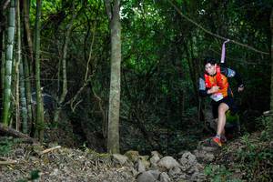 BIB: 
                            <button type="button" onclick="openModal(19438135)" class="btn btn-primary btn-sm float-right btn-popup" data-toggle="modal" data-target=".modal-high-quality">
                        <i class="fas fa-shopping-cart"></i> Add to Cart
                    </button>
                                            <button type="button" onclick="isThisMe(19438135, true)" class="btn btn-success btn-sm float-right btn-popup btn-isme hidden" data-toggle="tooltip" data-placement="bottom" title="นี่คือรูปของคุณใช่ไหม คลิกที่นี่เพื่อเอาเข้าอัลบั้ม">
                        <i class="fas fa-plus"></i> Add to album
                    </button>
                    <button type="button" onclick="isThisMe(19438135, false)" class="btn btn-warning btn-sm float-right btn-popup btn-isnotme hidden">
                        <i class="fas fa-ban"></i> Remove from album
                    </button>